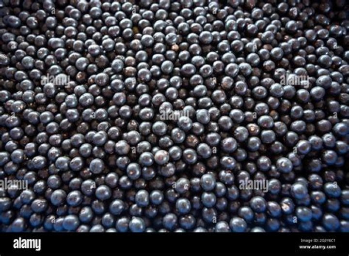 Acai