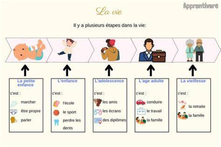Début de la vie