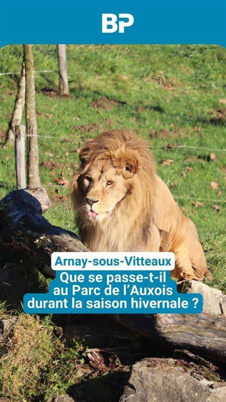 La plupart de ces animaux étaient